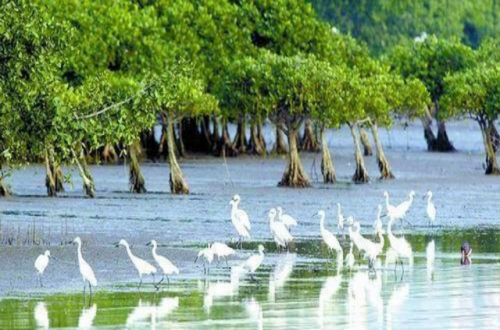深圳好玩好吃的地方排行榜(深圳人气最旺的美食街)插图5 深圳好玩好吃的地方排行榜(深圳人气最旺的美食街)插图5