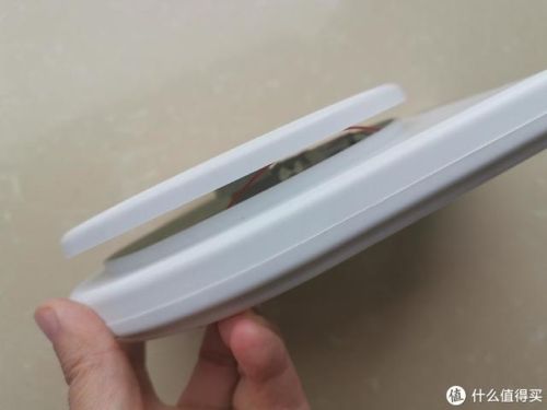 烘焙电子秤品牌排行榜(烘焙称重器哪个牌子好)插图41