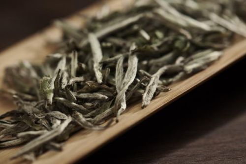 福鼎老白茶品牌排行榜(福鼎老白茶什么牌子好)插图1 福鼎老白茶品牌排行榜(福鼎老白茶什么牌子好)插图1