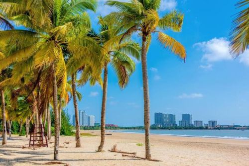 文昌市旅游景点排行榜(文昌必游的四大景点)插图21