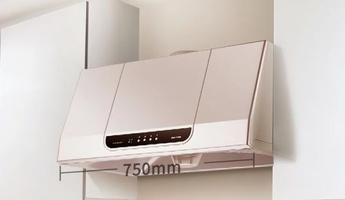 品牌烟机排行榜前十名(油烟机用什么牌子的好)插图11