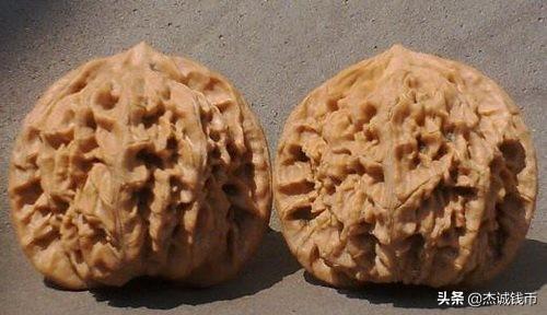 核桃品牌十大排行榜(核桃商标名字大全)插图8 核桃品牌十大排行榜(核桃商标名字大全)插图8