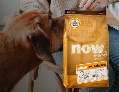 进口狗粮十大排行榜(世界十大顶级进口狗粮品牌)插图5 进口狗粮十大排行榜(世界十大顶级进口狗粮品牌)插图5