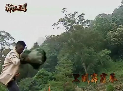 终极三国2017武力指数排行榜(终极三国所有人的武力指数)插图10