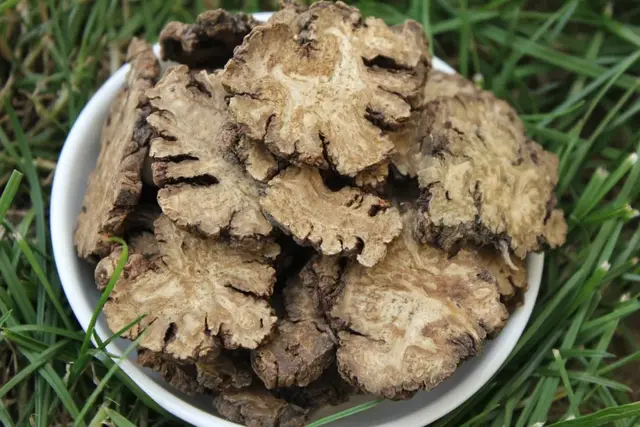 十大补品药材排行榜(中草药保健品第一名)插图3