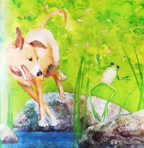 人气总排行榜狗狗书籍(哪些养狗的书比较实用)插图40