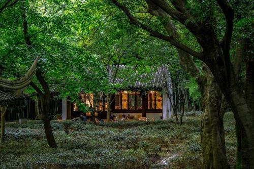 苏州的旅游景点排行榜(苏州旅游必去景点推荐)插图11