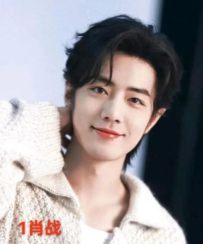 中国大陆男明星排行榜(中国男演员一览表)