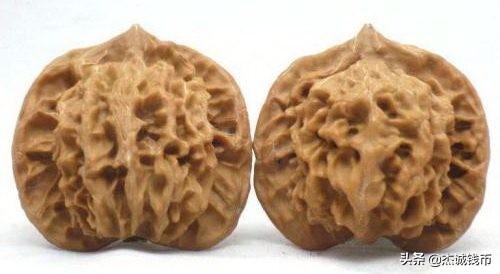 核桃品牌十大排行榜(核桃商标名字大全)插图5 核桃品牌十大排行榜(核桃商标名字大全)插图5