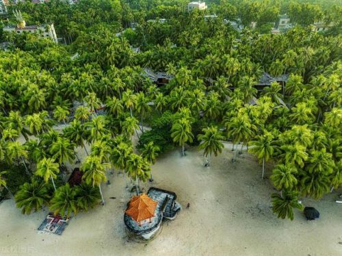 文昌市旅游景点排行榜(文昌必游的四大景点)插图9