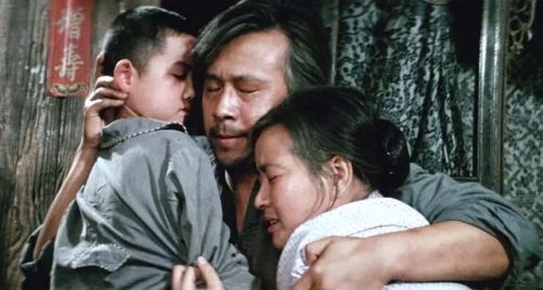 爱情大片排行榜前十名(必看的经典爱情电影)插图43