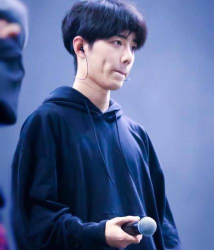 明星网络影响力指数排行榜2017(明星热度指数排行榜)插图1