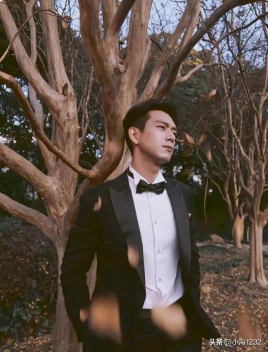 邢昭林男明星排行榜(邢昭林长得像谁)插图29 邢昭林男明星排行榜(邢昭林长得像谁)插图29