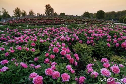 菏泽好玩的地方排行榜(菏泽一日游必去景点)插图 菏泽好玩的地方排行榜(菏泽一日游必去景点)插图