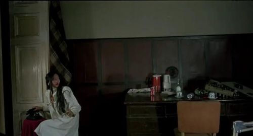 全国鬼片排行榜前十名(国内鬼片最好看的)插图14 全国鬼片排行榜前十名(国内鬼片最好看的)插图14