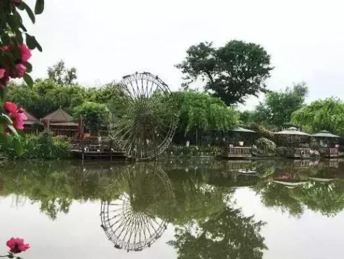 双流附近农家乐排行榜(成都华阳农家乐推荐排行榜)插图14