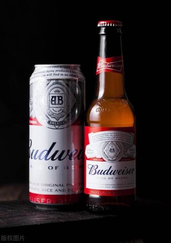 啤酒十大名牌排行榜(十大公认最好喝的啤酒)插图 啤酒十大名牌排行榜(十大公认最好喝的啤酒)插图