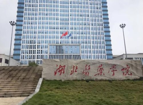 十堰市妇科医院排行榜(十堰妇科医院去哪比较好)