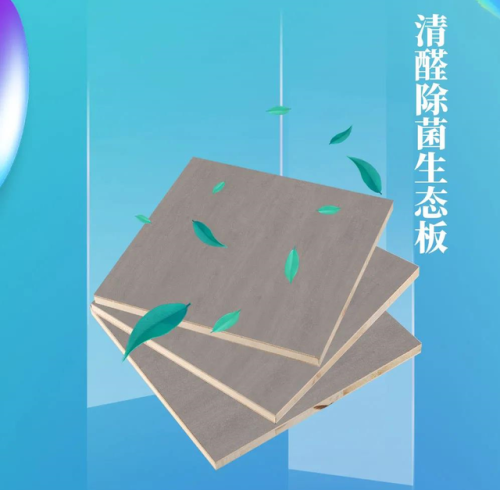 木板品牌排行榜前十名(全国生态板十大名牌)插图13 木板品牌排行榜前十名(全国生态板十大名牌)插图13