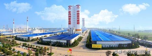 二铵最好的品牌排行榜(磷酸二铵厂家排名)插图3