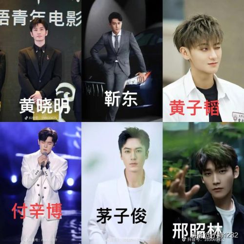 邢昭林男明星排行榜(邢昭林长得像谁)插图15 邢昭林男明星排行榜(邢昭林长得像谁)插图15
