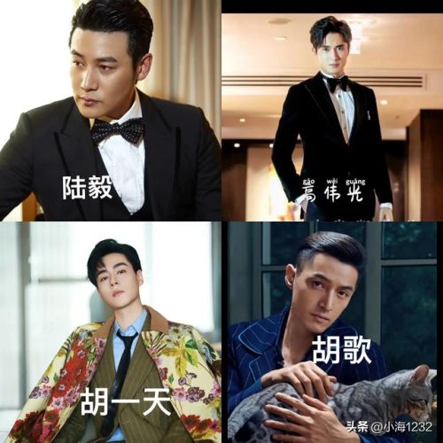 邢昭林男明星排行榜(邢昭林长得像谁)插图14 邢昭林男明星排行榜(邢昭林长得像谁)插图14