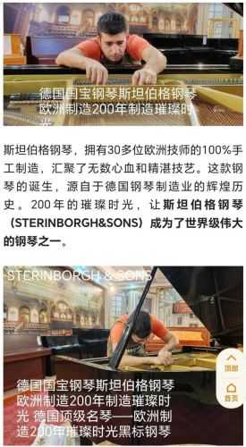 德国手风琴品牌排行榜(手风琴的样子图片)插图1