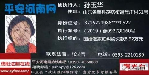 2017台前老赖排行榜(广东台山老赖名单查询)插图5