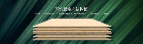 十大木板材品牌排行榜(中国板材行业品牌网络评选活动)插图1 十大木板材品牌排行榜(中国板材行业品牌网络评选活动)插图1