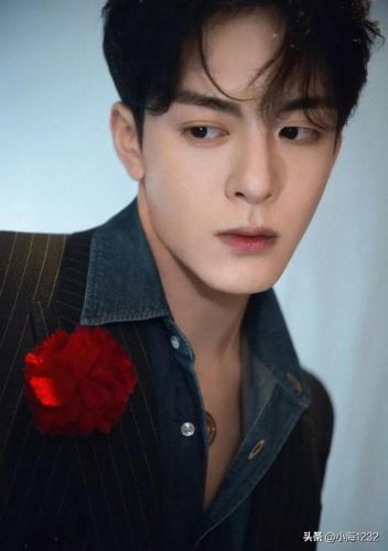 邢昭林男明星排行榜(邢昭林长得像谁)插图24 邢昭林男明星排行榜(邢昭林长得像谁)插图24