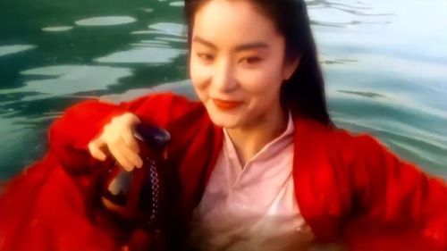 香港女神排行榜前十名(80,90年代香港女神排行)插图1