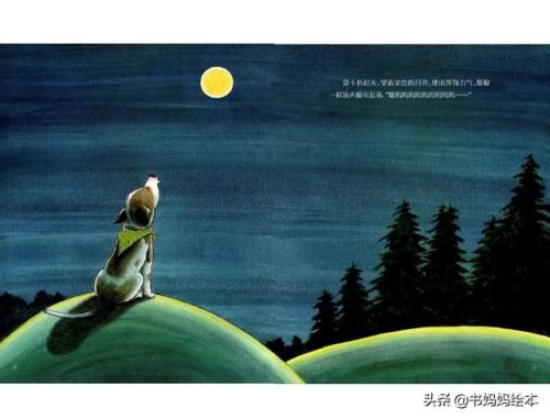 人气总排行榜狗狗书籍(哪些养狗的书比较实用)插图25