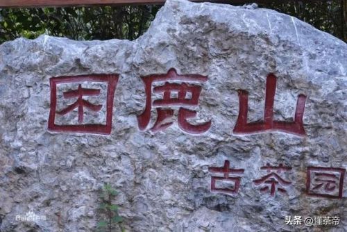 最贵的普洱茶叶排行榜(最贵的普洱茶多少钱一饼)插图8