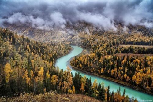 上水排行榜(自动上水电热水壶品牌排行榜前十名)插图6