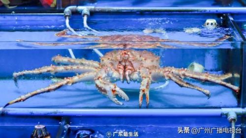 广州吃海鲜地方排行榜(广州吃海鲜大排档一条街)插图13