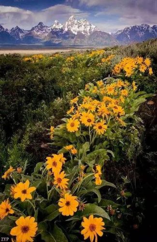 世界风景区排行榜(国内必去的景点排行榜)插图12