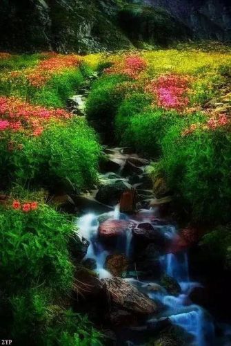 世界风景区排行榜(国内必去的景点排行榜)插图13