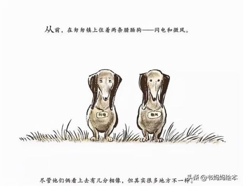 人气总排行榜狗狗书籍(哪些养狗的书比较实用)插图28