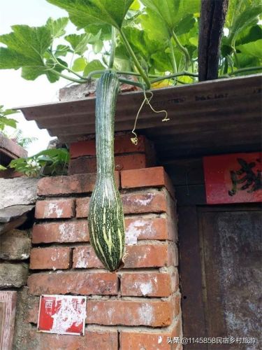 古北水镇农家院排行榜(古北水镇附近的民宿)