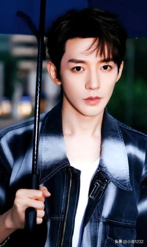 邢昭林男明星排行榜(邢昭林长得像谁)插图32 邢昭林男明星排行榜(邢昭林长得像谁)插图32