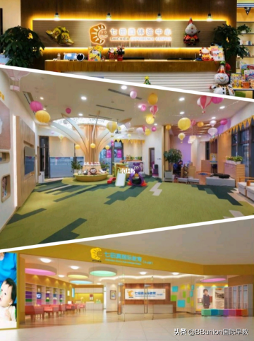 十大早教机构排行榜(早教机构全国排名)