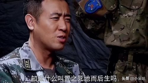 特种部队电视剧排行榜(十大军旅电视剧排行)插图18