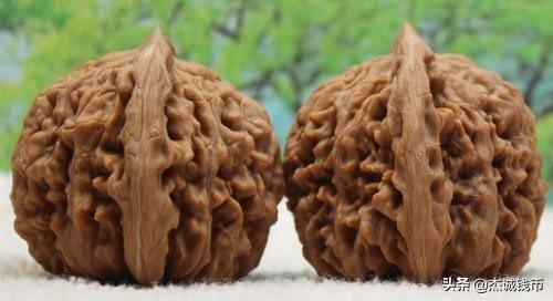 核桃品牌十大排行榜(核桃商标名字大全)插图3 核桃品牌十大排行榜(核桃商标名字大全)插图3