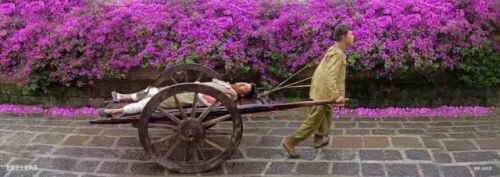 十大金典电视剧排行榜(二十部经典高分电视剧)插图23