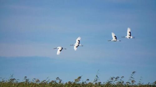 国内小说排行榜前十名(十大完结巅峰神作小说)插图9 国内小说排行榜前十名(十大完结巅峰神作小说)插图9