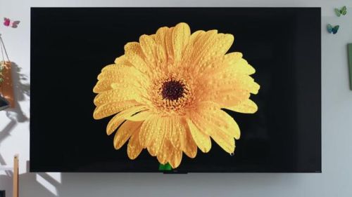 乐华名牌电视机排行榜(65寸电视哪个牌子好)插图31