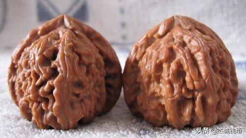 核桃品牌十大排行榜(核桃商标名字大全)插图 核桃品牌十大排行榜(核桃商标名字大全)插图