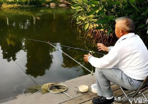 十大渔具品牌排行榜(渔具加盟店10大品牌)插图3