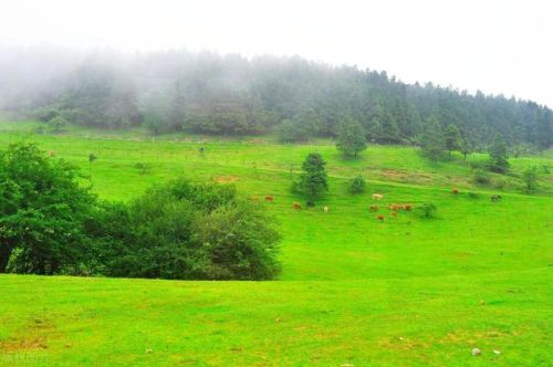 重庆市内景点排行榜(重庆市的旅游景点排名)插图26