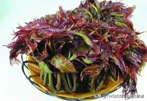 古北水镇农家院排行榜(古北水镇附近的民宿)插图33 古北水镇农家院排行榜(古北水镇附近的民宿)插图33